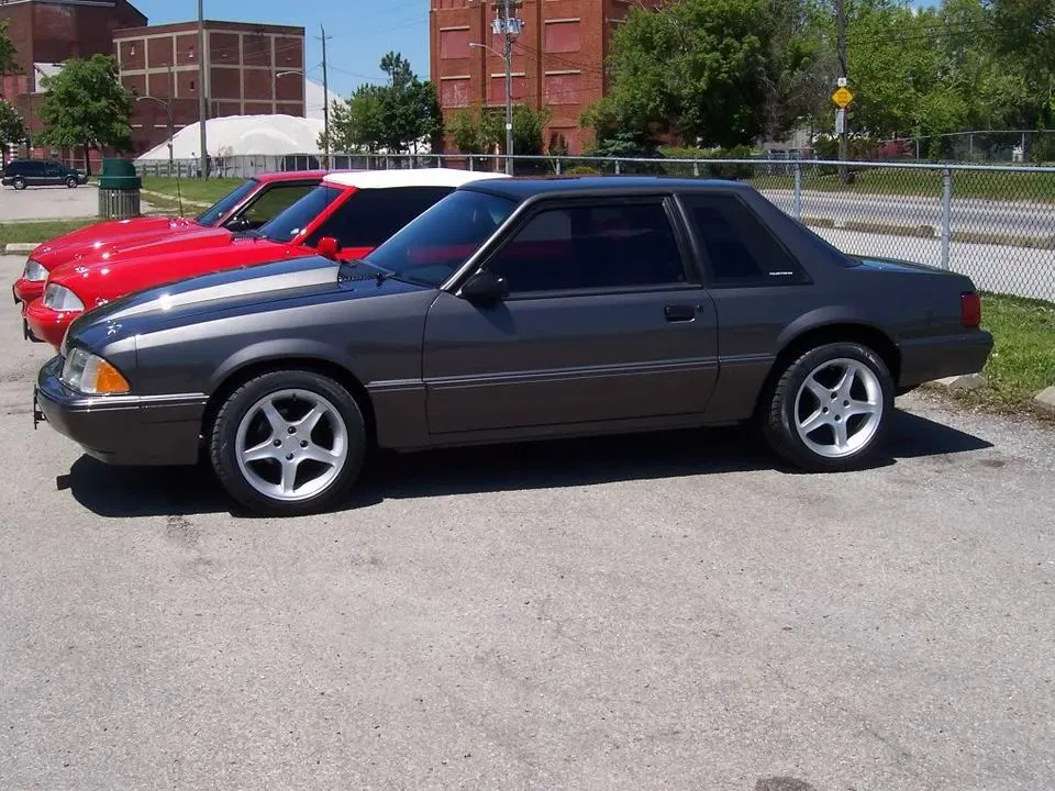 mustang084.webp