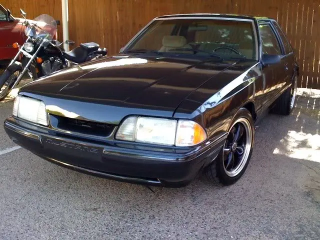 mustang1-1.webp