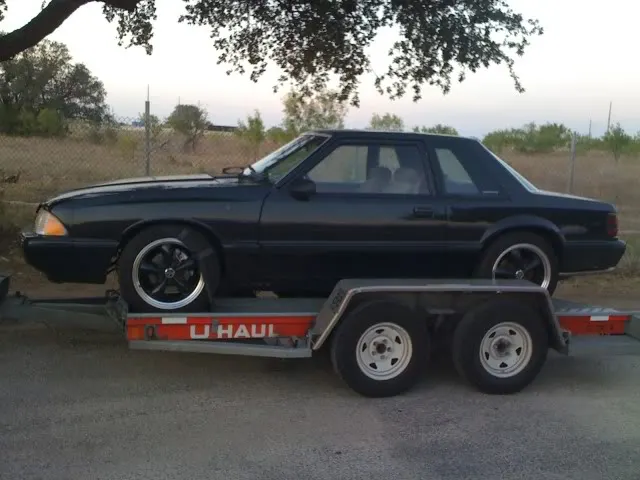 mustang1-3.webp