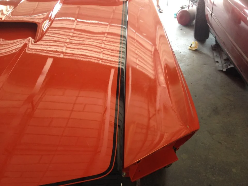 mustang1.webp