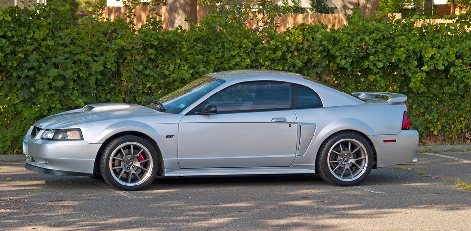 mustang1.webp