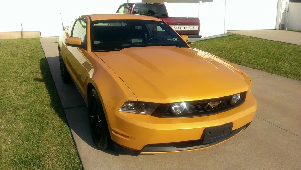 Mustang1.webp