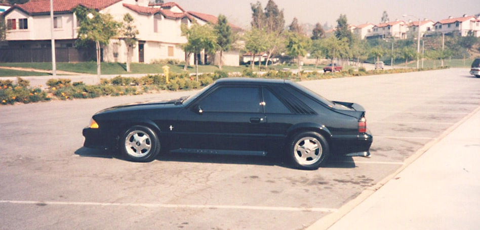 mustang1.webp