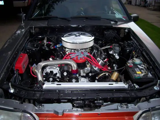 mustang1.webp