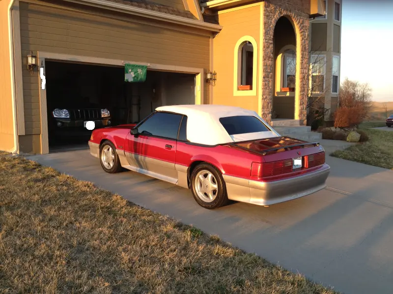 mustang1.webp
