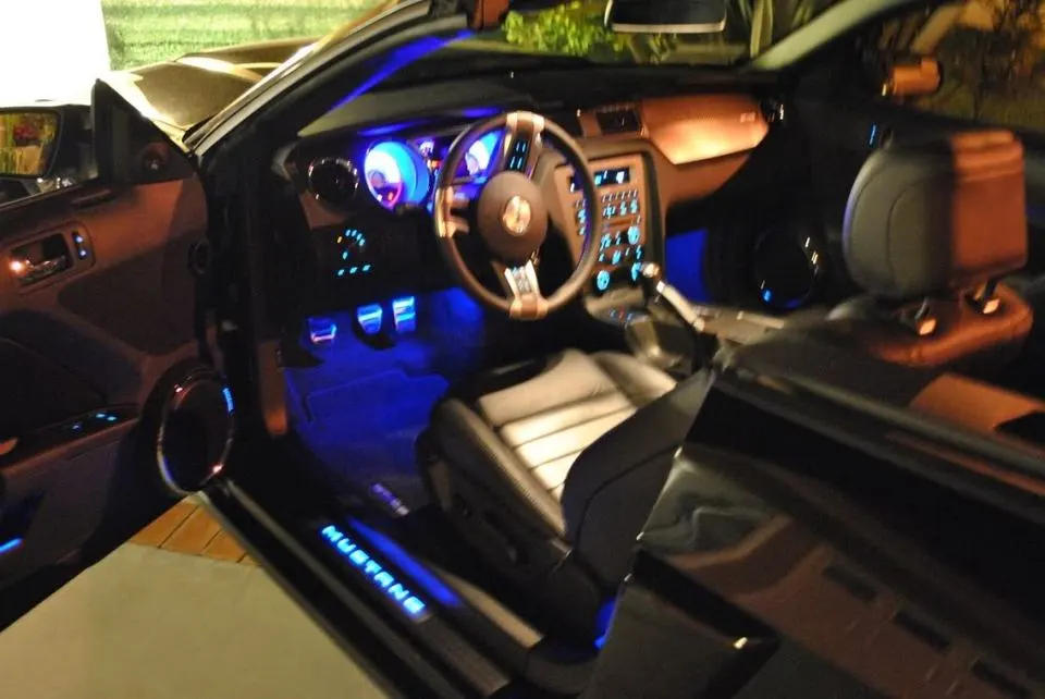 mustang1.webp