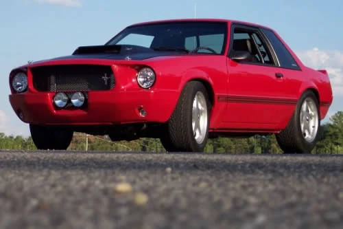 mustang1.webp