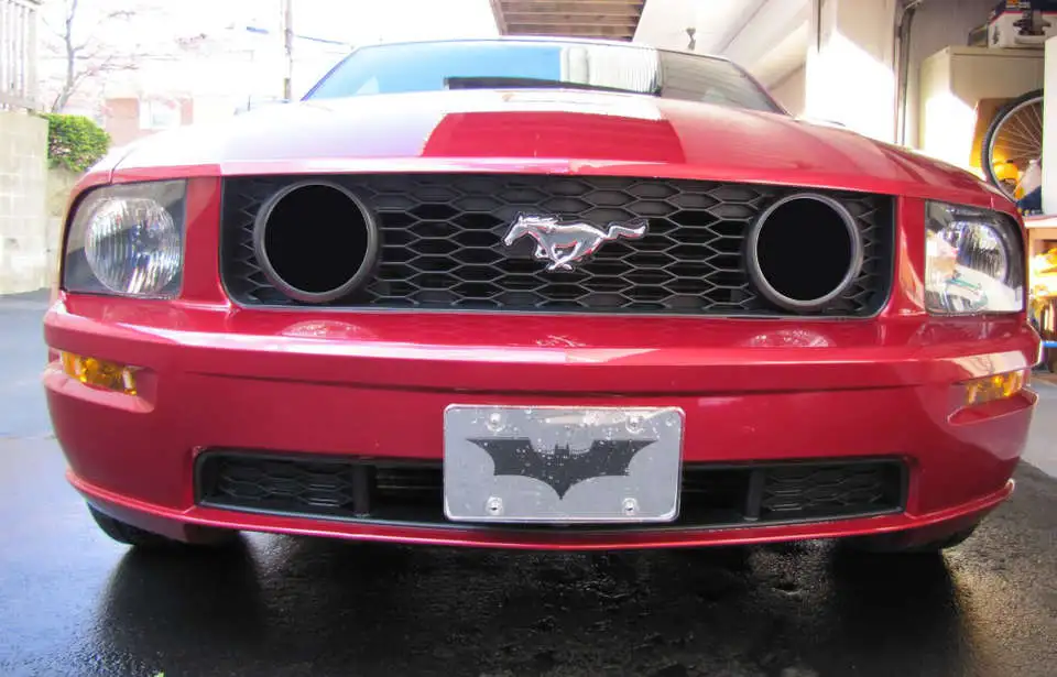 mustang1.webp