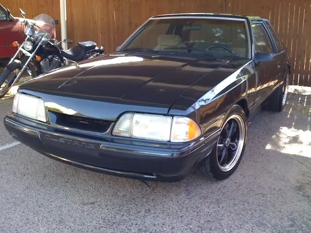 mustang1.webp