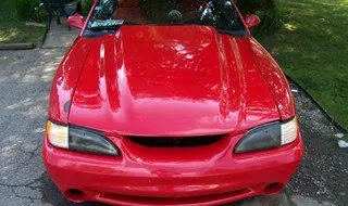 mustang1.webp