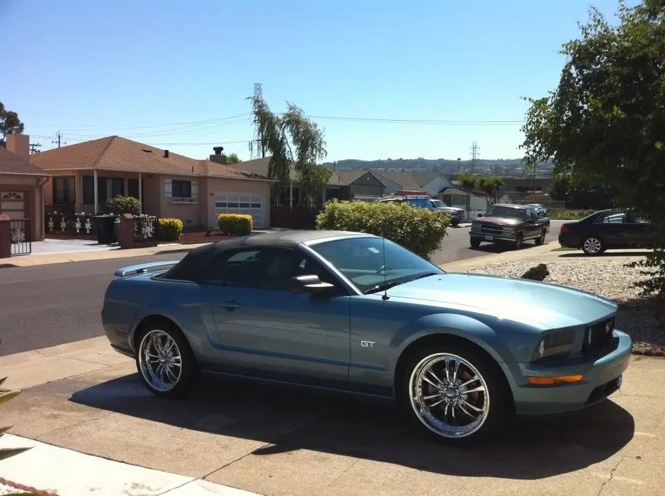 Mustang1.webp