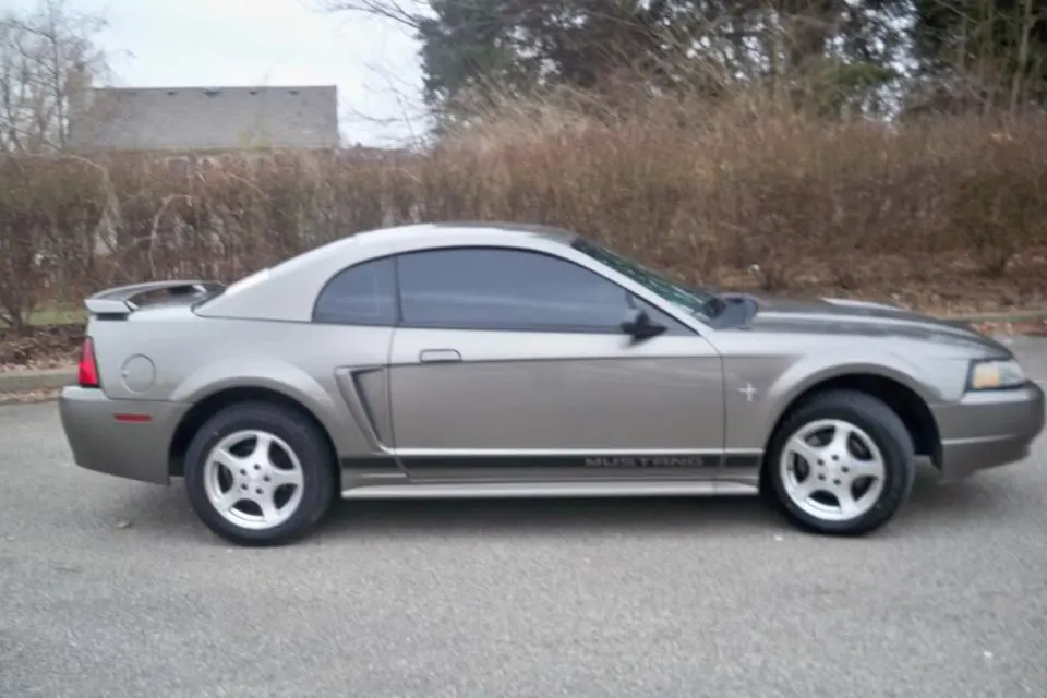 Mustang1.webp
