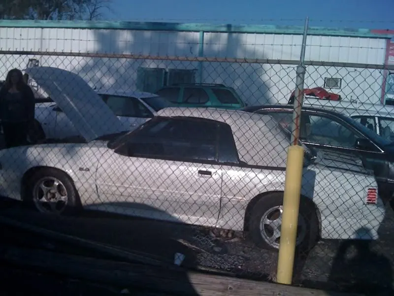 Mustang1.webp