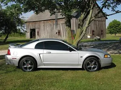 mustang1.webp