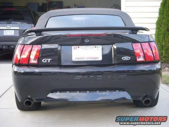 mustang1.webp