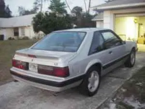 mustang1.webp