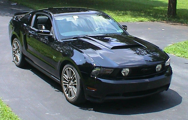 mustang1.webp