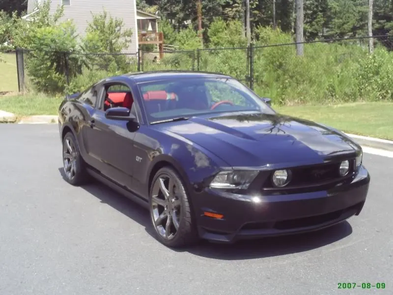 mustang1.webp
