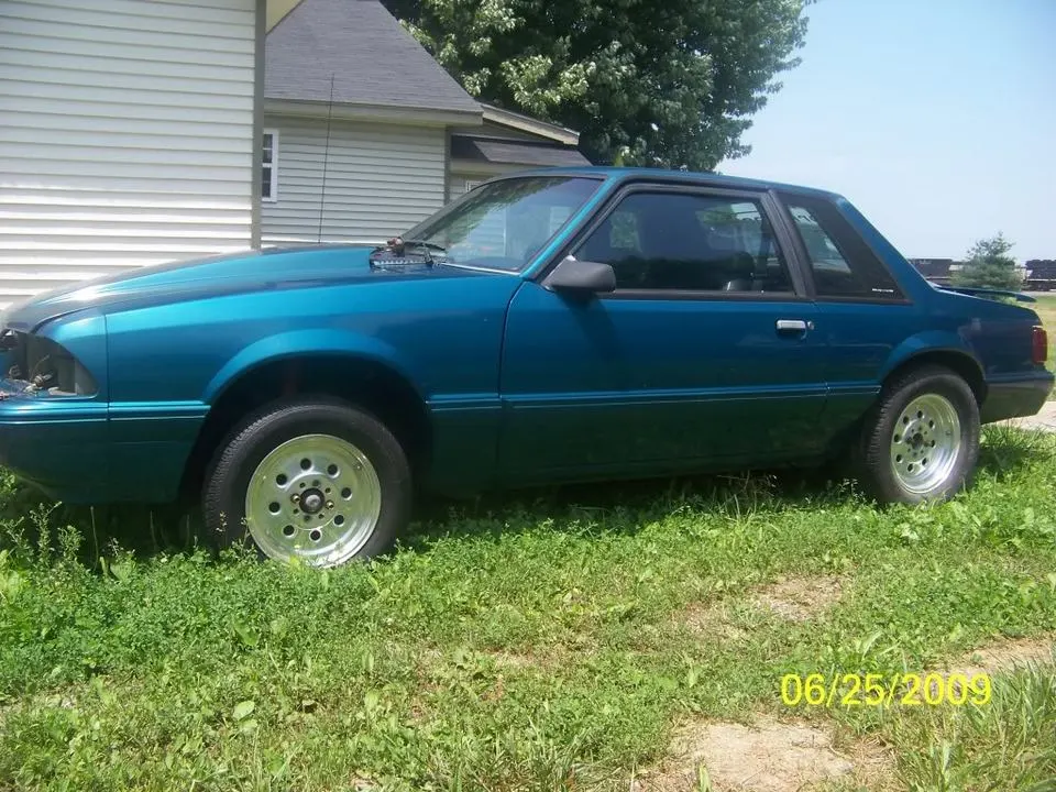 mustang1.webp