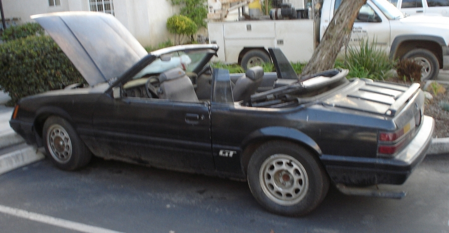 mustang1.webp