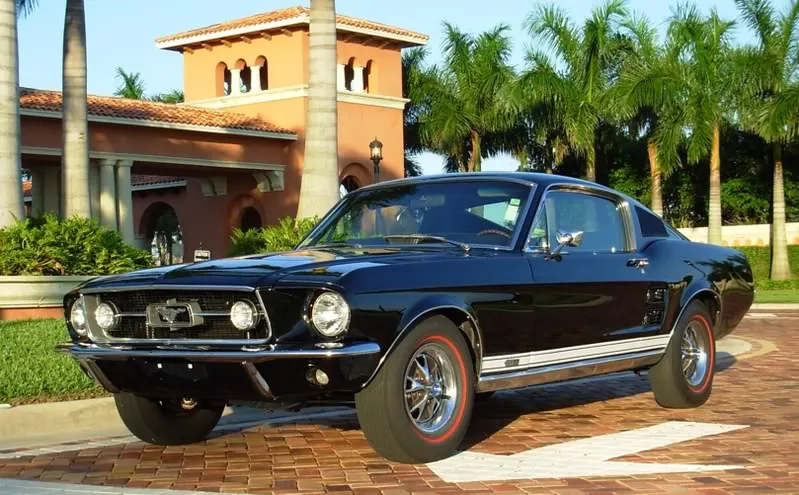 MUSTANG1.webp