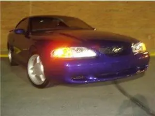 Mustang1.webp