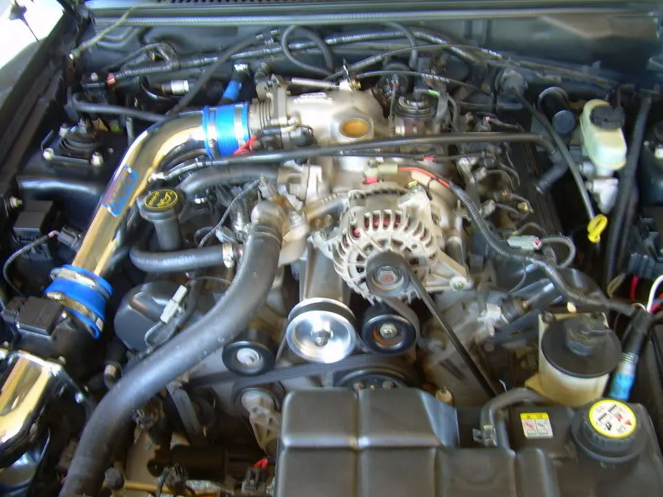 mustang1.webp
