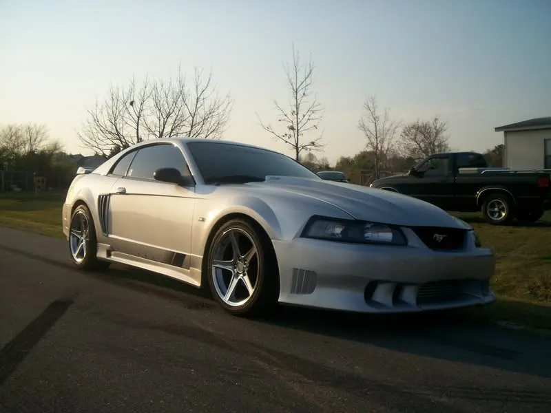 mustang1.webp