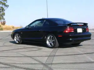mustang1.webp