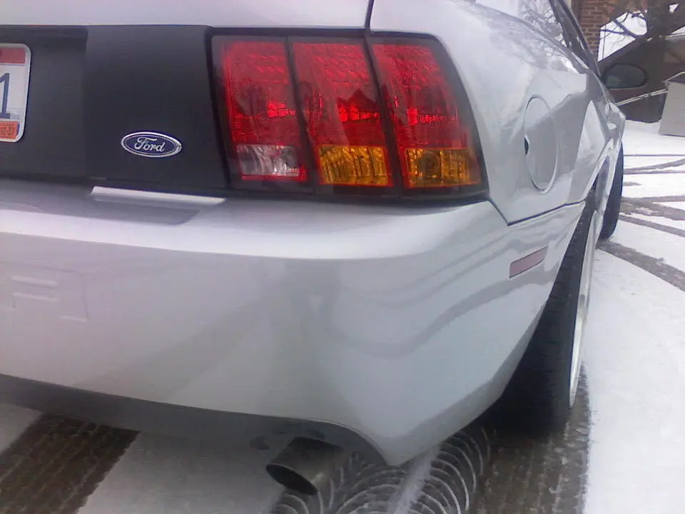 mustang1.webp