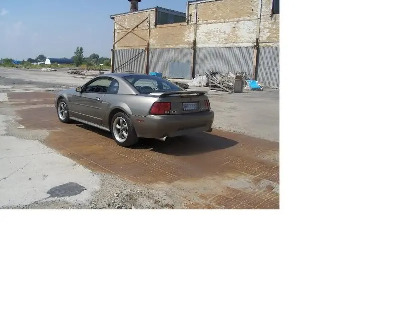 mustang1.webp