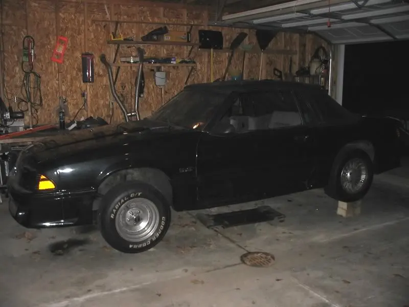 mustang1.webp