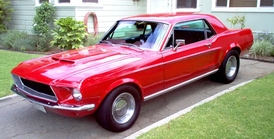 mustang1.webp