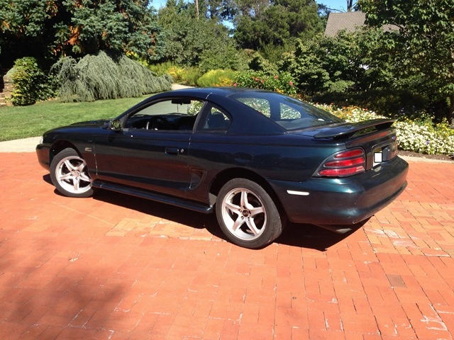 mustang1.webp