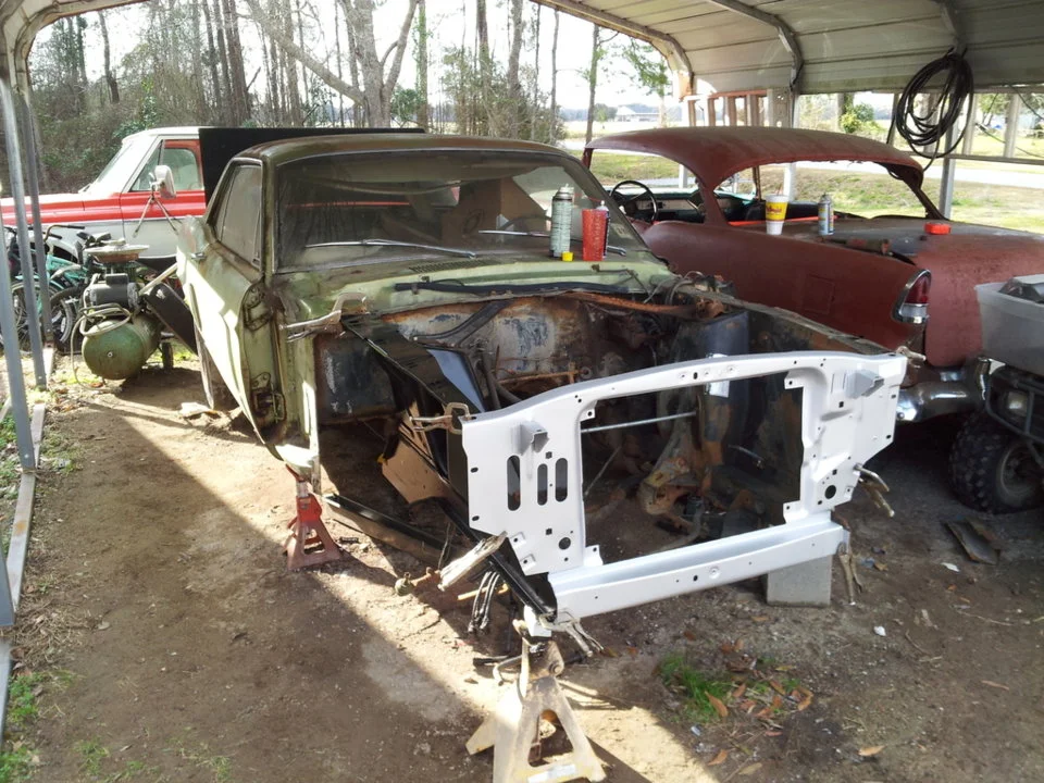 mustang1.webp