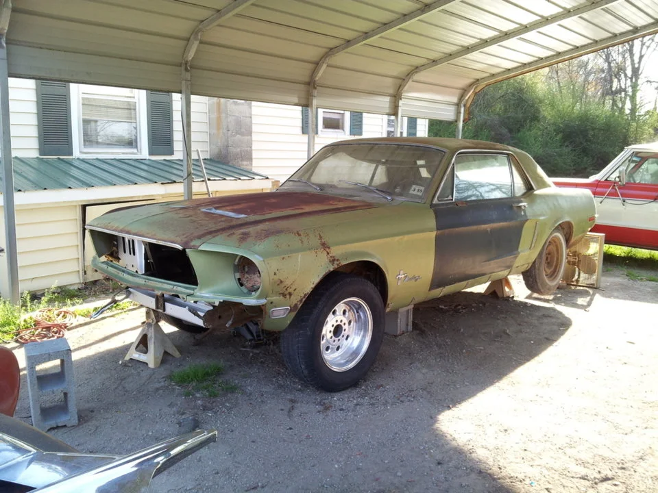 mustang1.webp