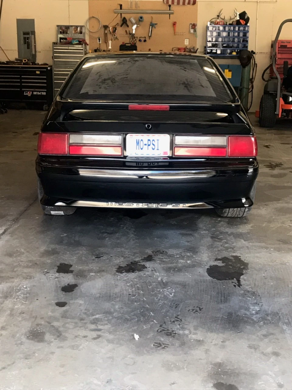 mustang1.webp