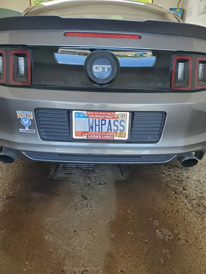mustang1.webp