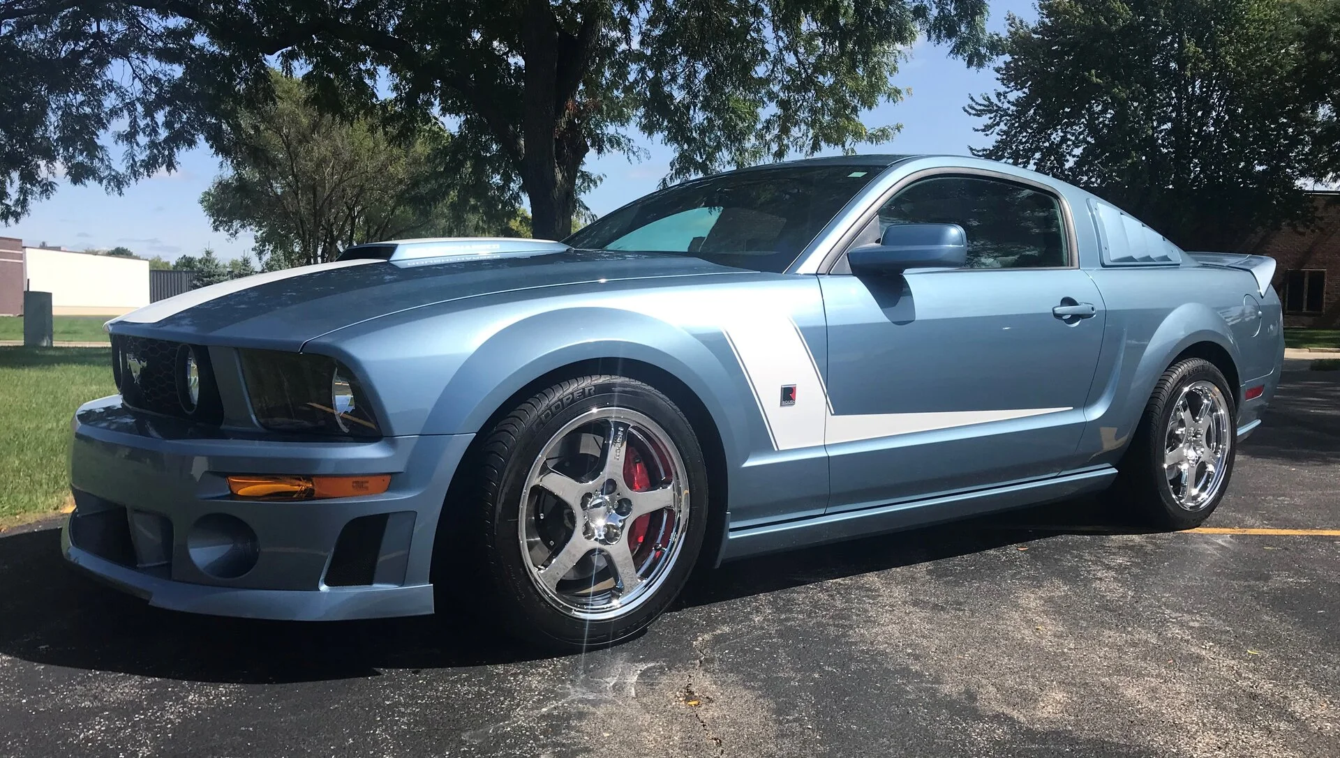 Mustang1.webp