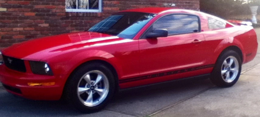 Mustang1.webp