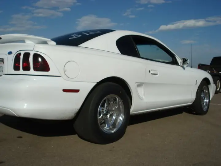 mustang1.webp