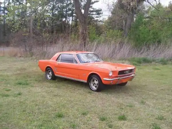 Mustang1.webp