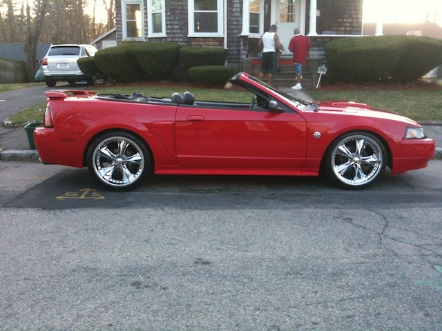 mustang1.webp
