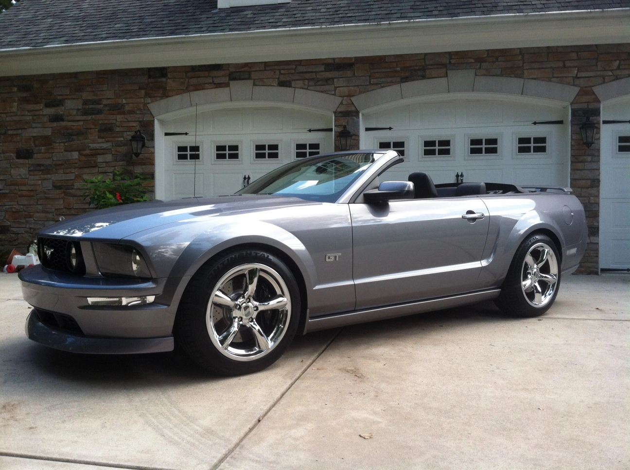 mustang1.webp