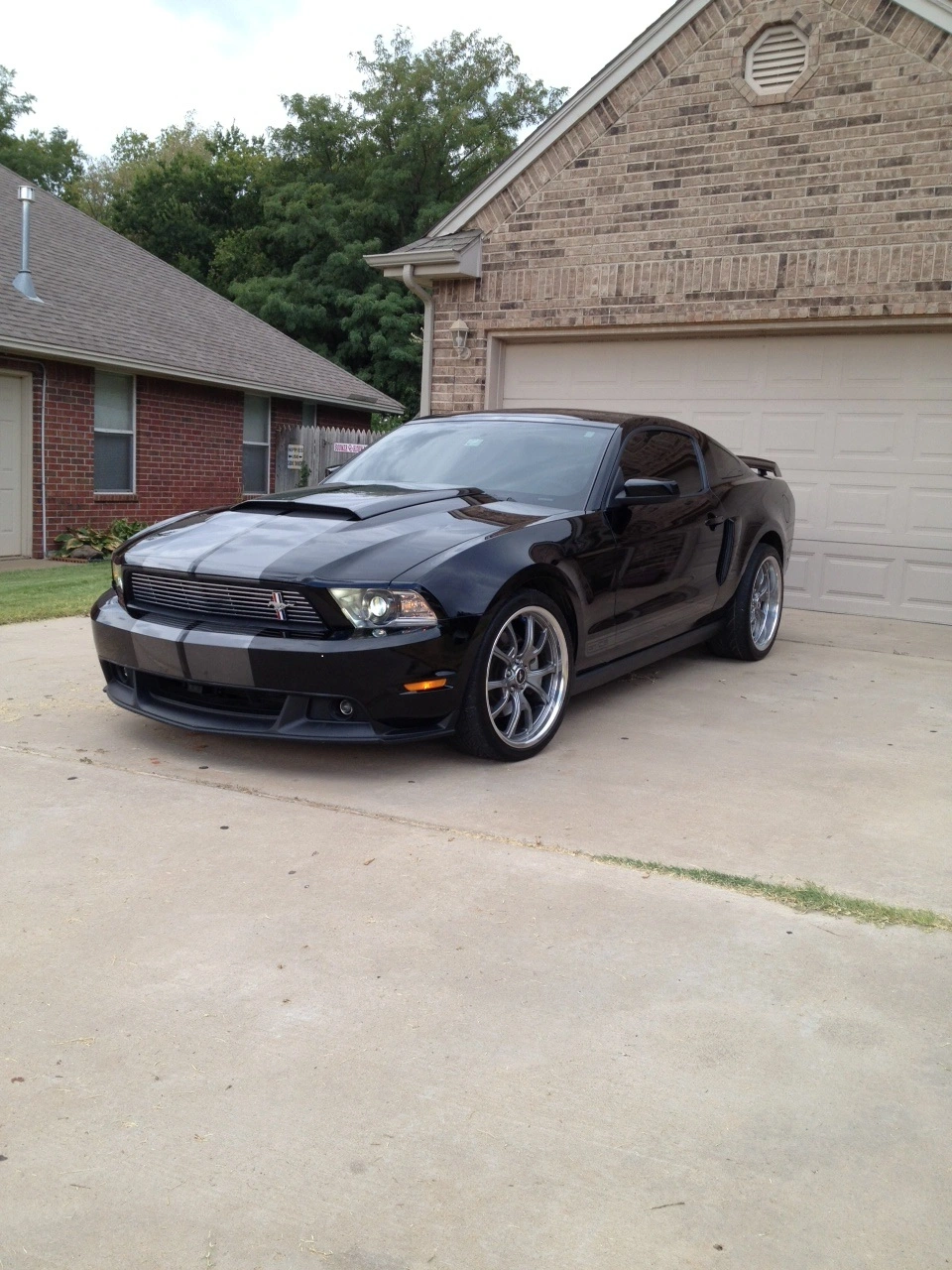 Mustang1.webp