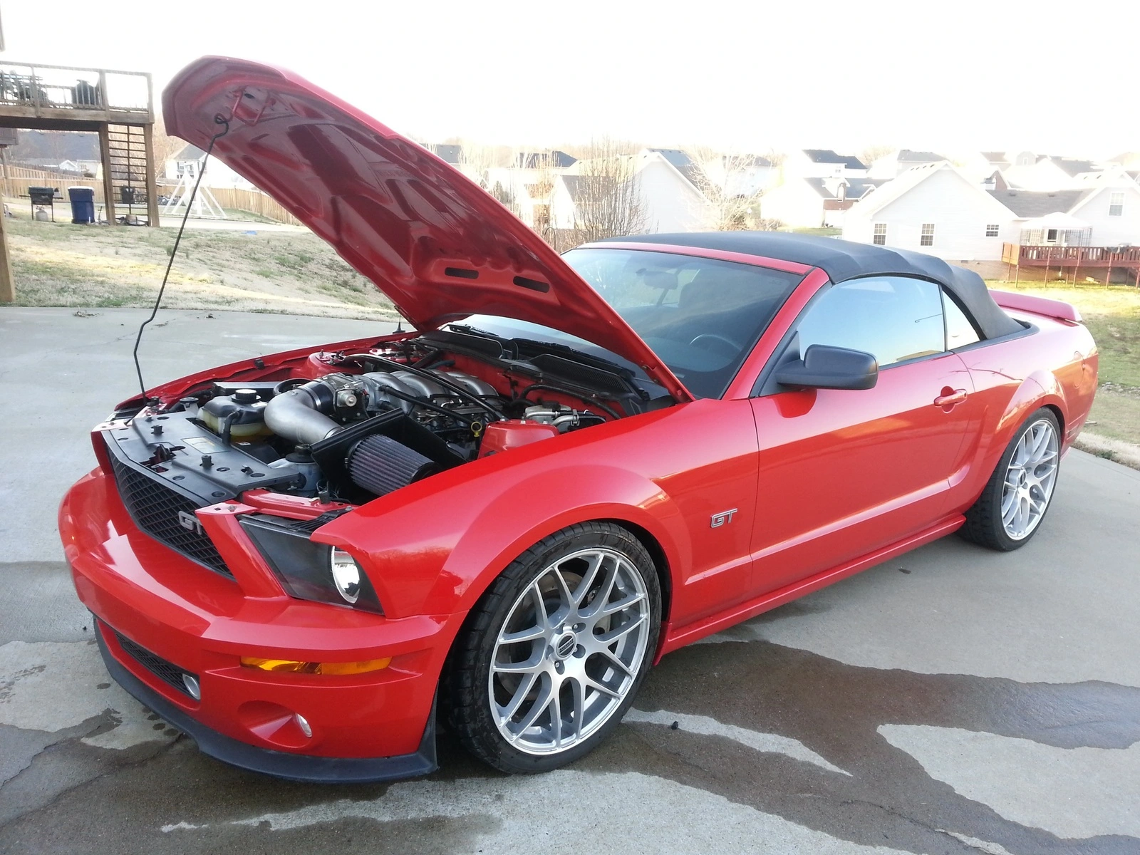 mustang1.webp