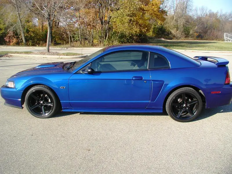 Mustang10-30-81.webp