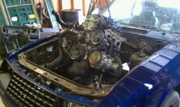 mustang10.webp