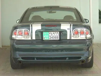 MUSTANG10.webp