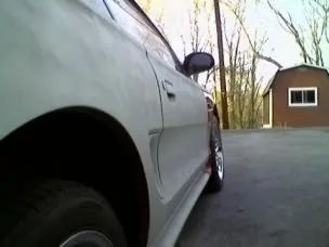 mustang10.webp